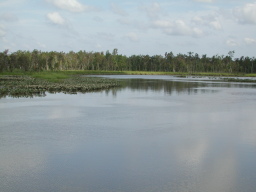 Pamunky river